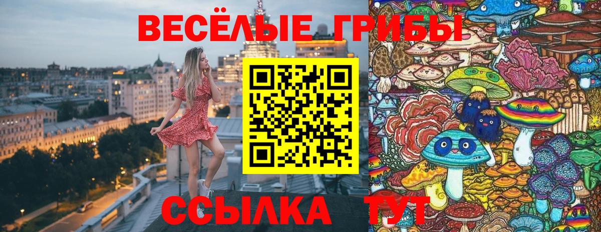 Псилоцибиновые грибы мухоморы Анжеро-Судженск